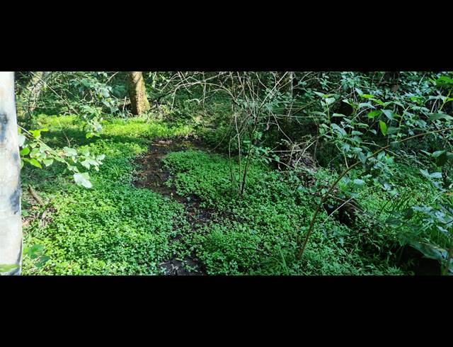 46HA FARM SOLD IN NELSPRUIT RURAL